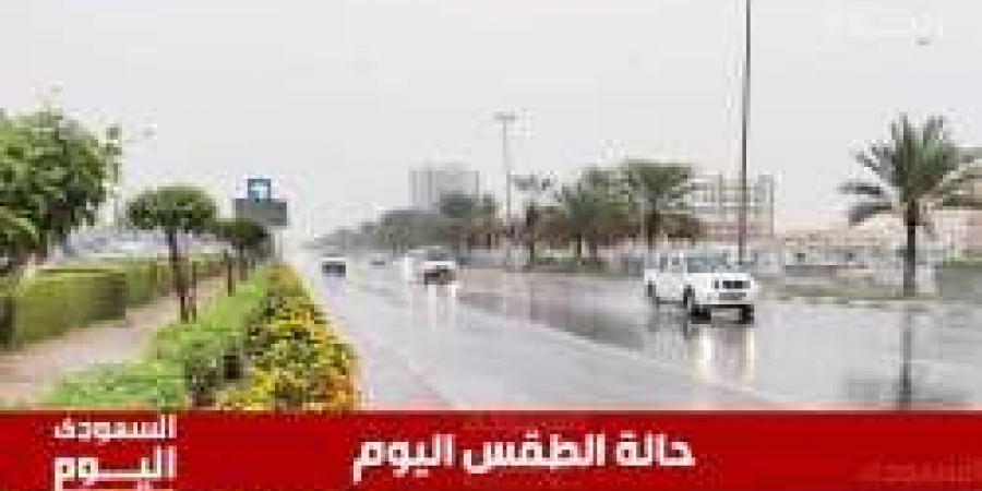 حالة الطقس اليوم.. أمطار رعدية غزيرة وسيول ورياح قوية على عدة مناطق بالمملكة - المصدر 7