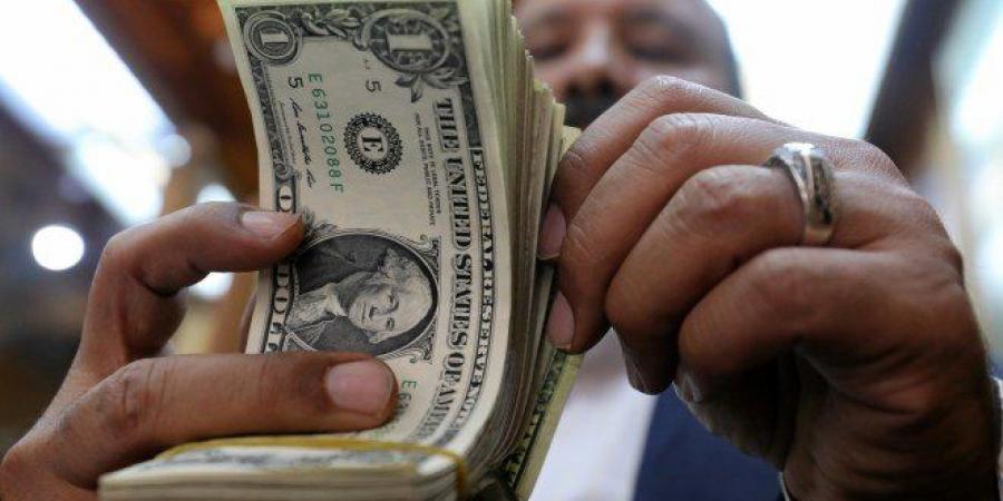4 عوامل تدفع الجنيه المصري لمواصلة التعافي بقوة.. والدولار يهبط لأدنى مستوى منذ مايو 2024 - المصدر 7