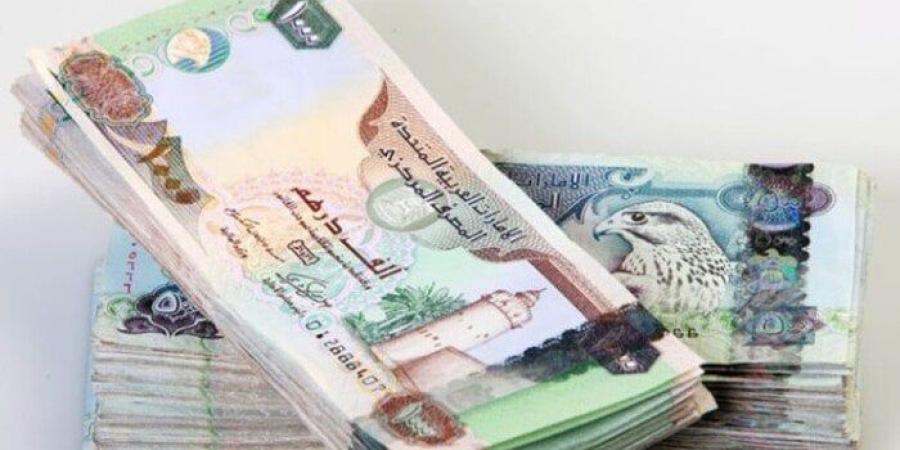 سعر الدرهم الإماراتي مقابل الجنيه المصري اليوم الإثنين 17 -11-2025 بيعًا وشراءً - المصدر 7