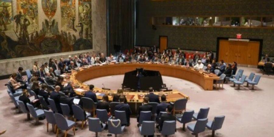 اليوم.. مجلس الأمن يصوت على خطة ترامب لنشر قوة دولية في غزة - المصدر 7