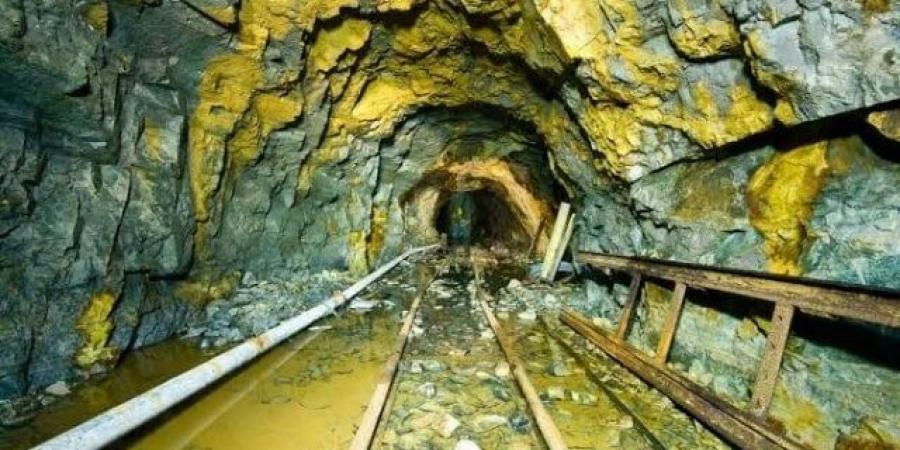 إنتاج منجم السكري يصل إلى 381 ألف أوقية في أول تسعة أشهر بعام 2025 - المصدر 7