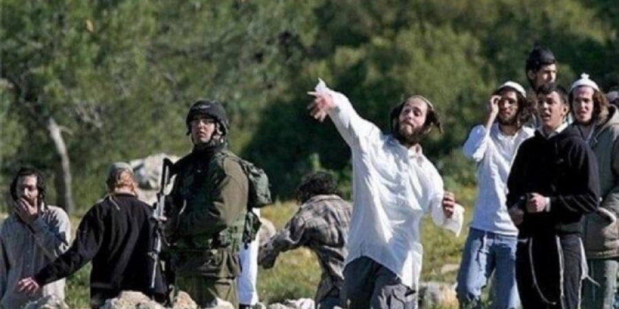 إصابات وإحراق منزل ومركبتين إثر هجوم مستوطنين على بلدة سعير في الخليل - المصدر 7