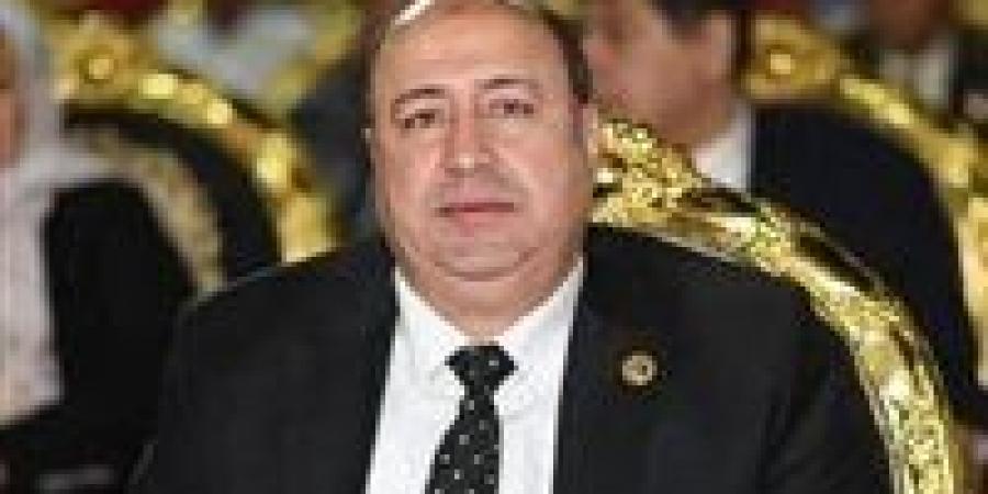 عضو بالشيوخ: توجيهات الرئيس بشأن انتخابات النواب تؤكد ان إرادة المصريين ستكون المعبرة - المصدر 7