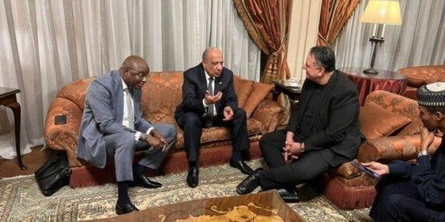 وزير الكهرباء يبحث مع وزير المياه والطاقة بجمهورية تشاد سبل دعم الشراكة والتعاون - المصدر 7