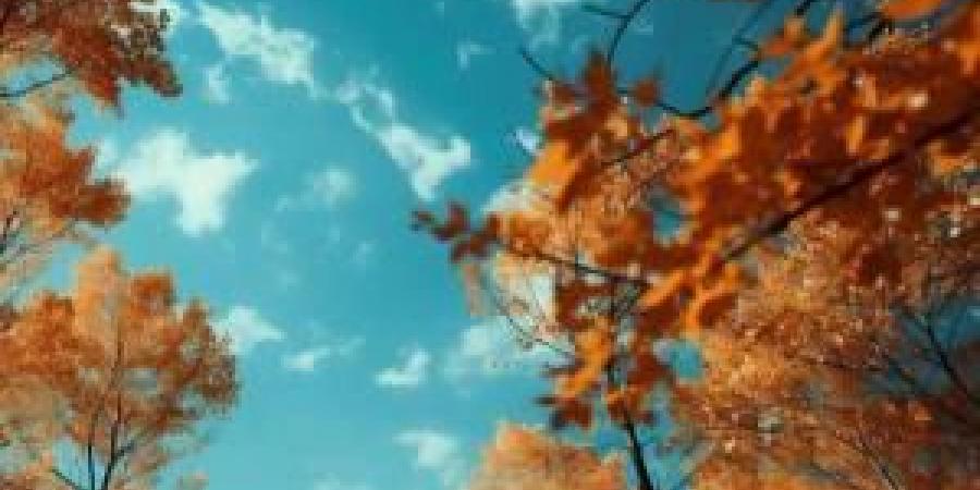 رياح مثيرة للغبار و طقس خريفي لطيف الثلاثاء والأربعاء - المصدر 7