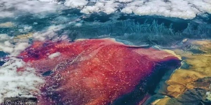 بحيرات تقتل من يقترب منها: أسرار المياه السامة في إفريقيا وآسيا - المصدر 7