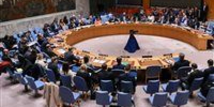 حماس ترفض قرار مجلس الأمن وتعتبره محاولة لعزل غزة عن فلسطين - المصدر 7