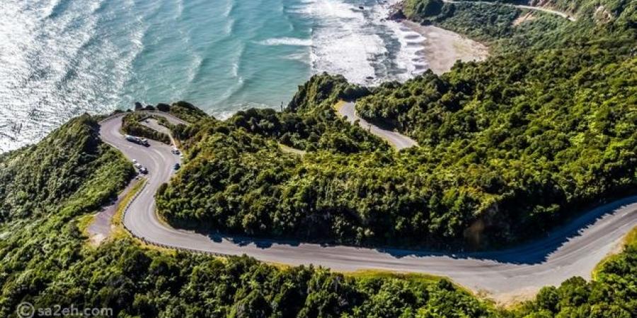 أجمل الطرق الساحلية في نيوزيلندا لعشاق القيادة - المصدر 7