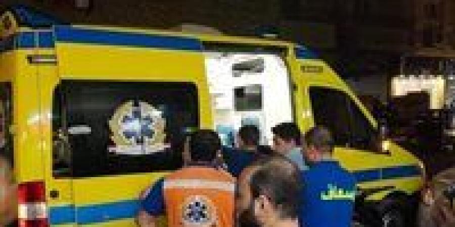 مصرع 3 شباب وإصابة آخر في حادث مروع بالشرقية - المصدر 7