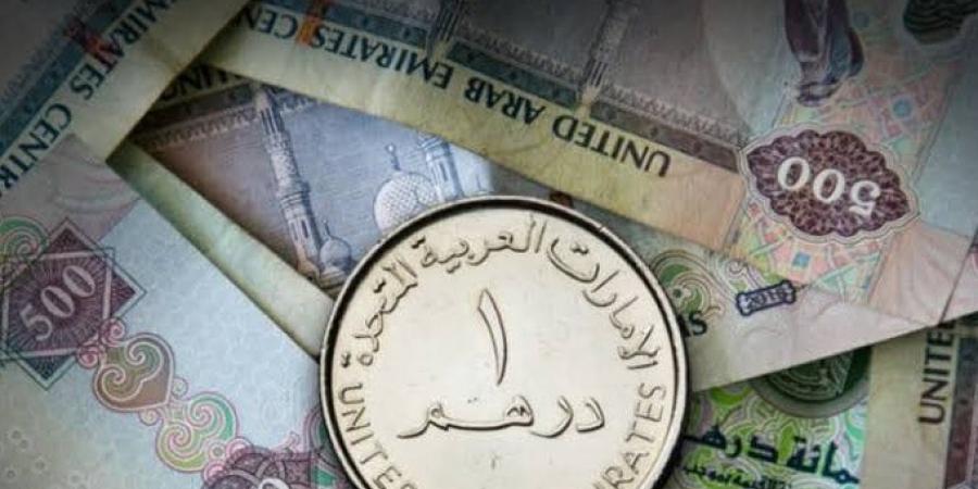سعر الدرهم الإماراتي مقابل الجنيه المصري اليوم الأربعاء 19 نوفمبر 2025 - المصدر 7