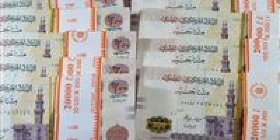 أعلى شهادة ادخارية في مصر بفائدة تصل إلى 100% - المصدر 7