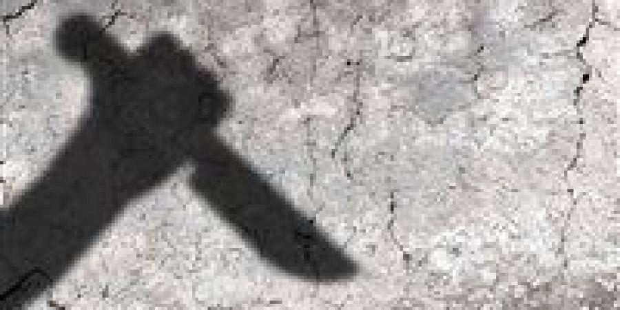 صرخات بلا مجيب.. قصة الطفلة «ملك» التي ماتت تبحث عن رحمة - المصدر 7