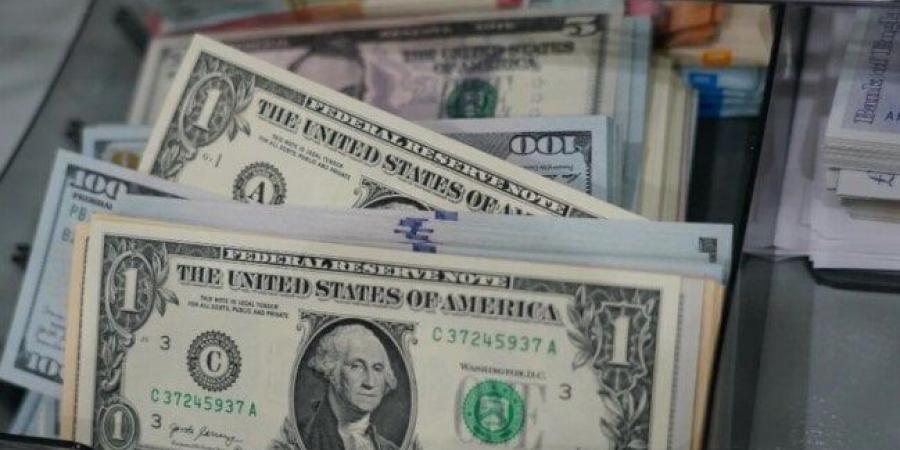 سعر الدولار مقابل الجنيه المصري اليوم الأربعاء 19-11-2025.. تحديث مباشر للعملة الأمريكية - المصدر 7