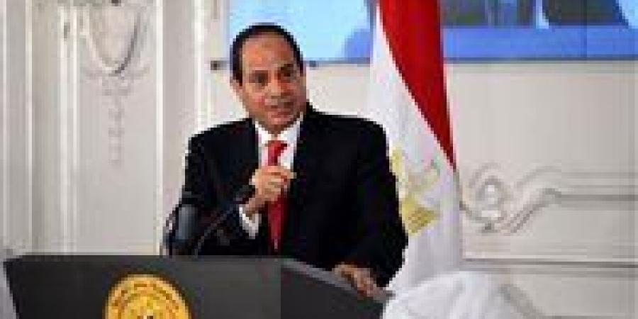 الرئيس السيسي يشيد بمشاركة نظيره الروسي في مراسم وضع هيكل احتواء مفاعل الضبعة النووي - المصدر 7