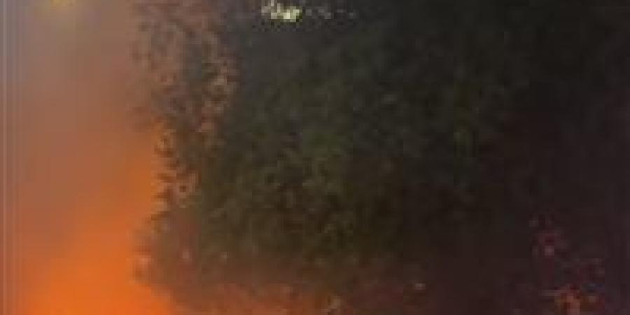 حريق بسبب ماس كهربائي يتسبب في نفوق 9 رؤوس ماشية بأطفيح - المصدر 7