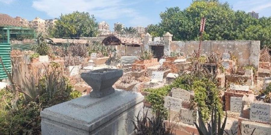 محافظة الإسكندرية تُحذّر المواطنين من شراء مقابر مُقامة على أراضٍ زراعية - المصدر 7